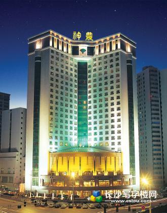 神农大酒店5A写字楼100-500平方出租（免物管费、空调费、带装修）