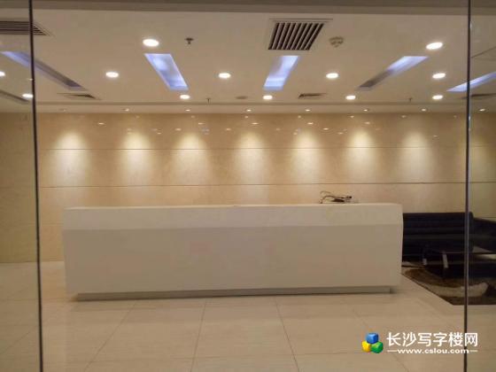 雨花亭顺天国际金融中心300平精装修带家具正电梯口