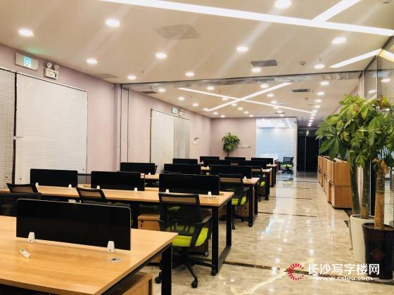 湘雅医院 绿地中心 24小时空调 300平带家具 拎包办公
